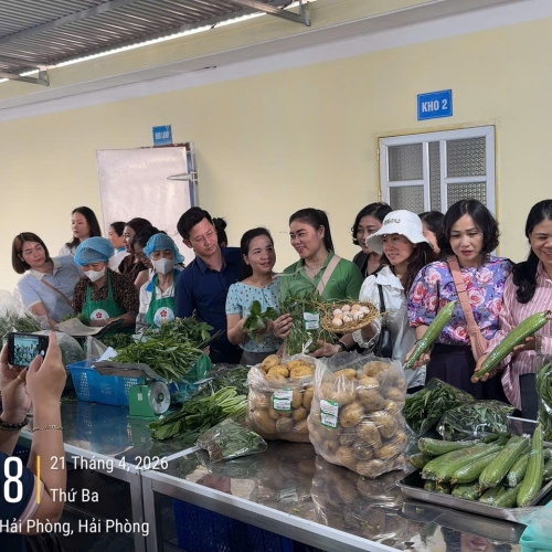 Quy định 5S trong sản xuất