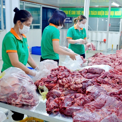 Giới thiệu quy trình sơ chế - chế biến thực phẩm