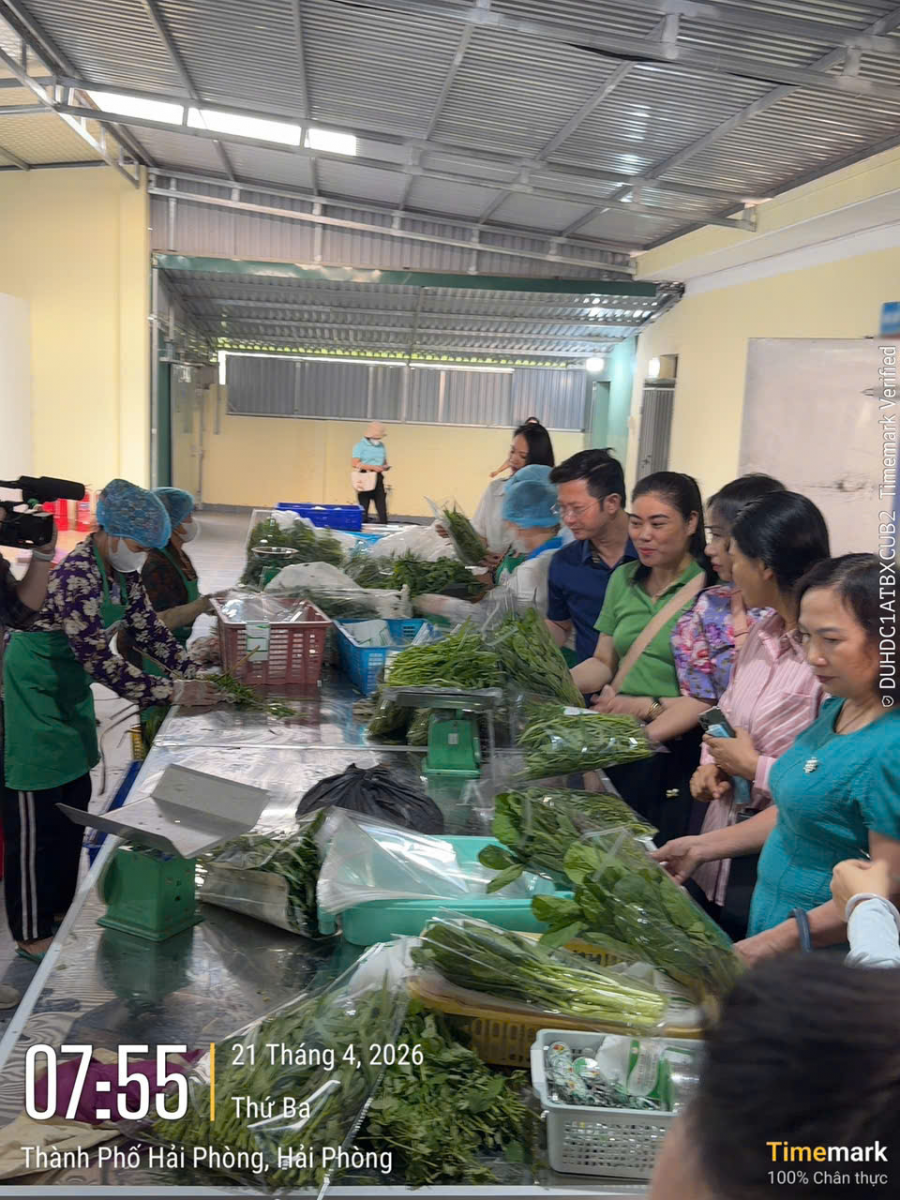 Tham quan vùng nguyên liệu Thực phẩm New Green