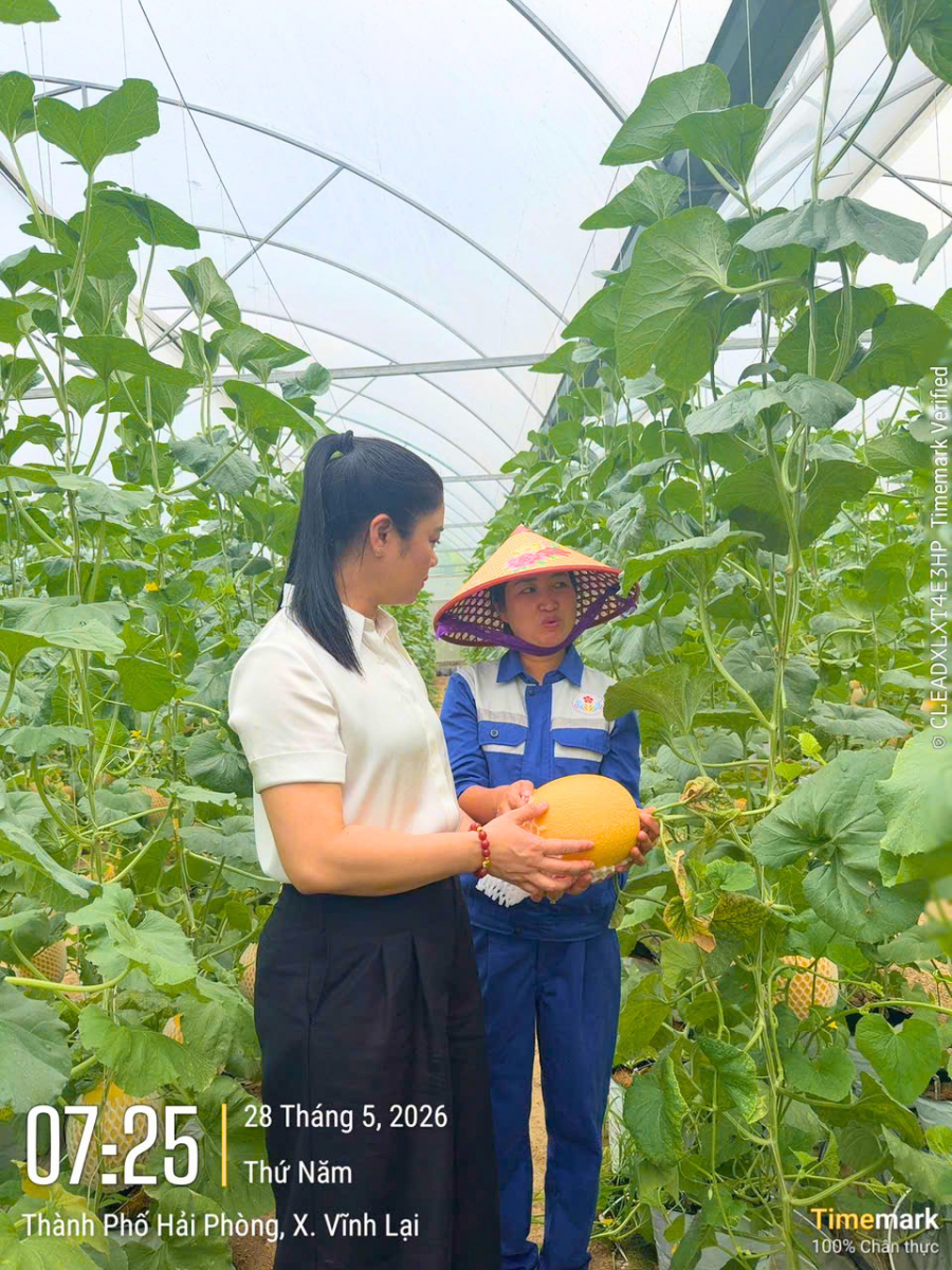 Tham quan vùng nguyên liệu Thực phẩm New Green