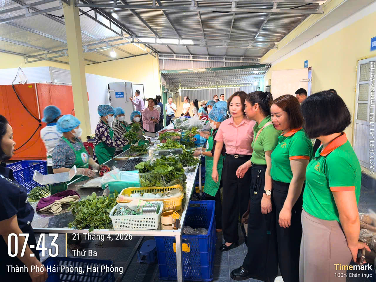 Tham quan vùng nguyên liệu Thực phẩm New Green
