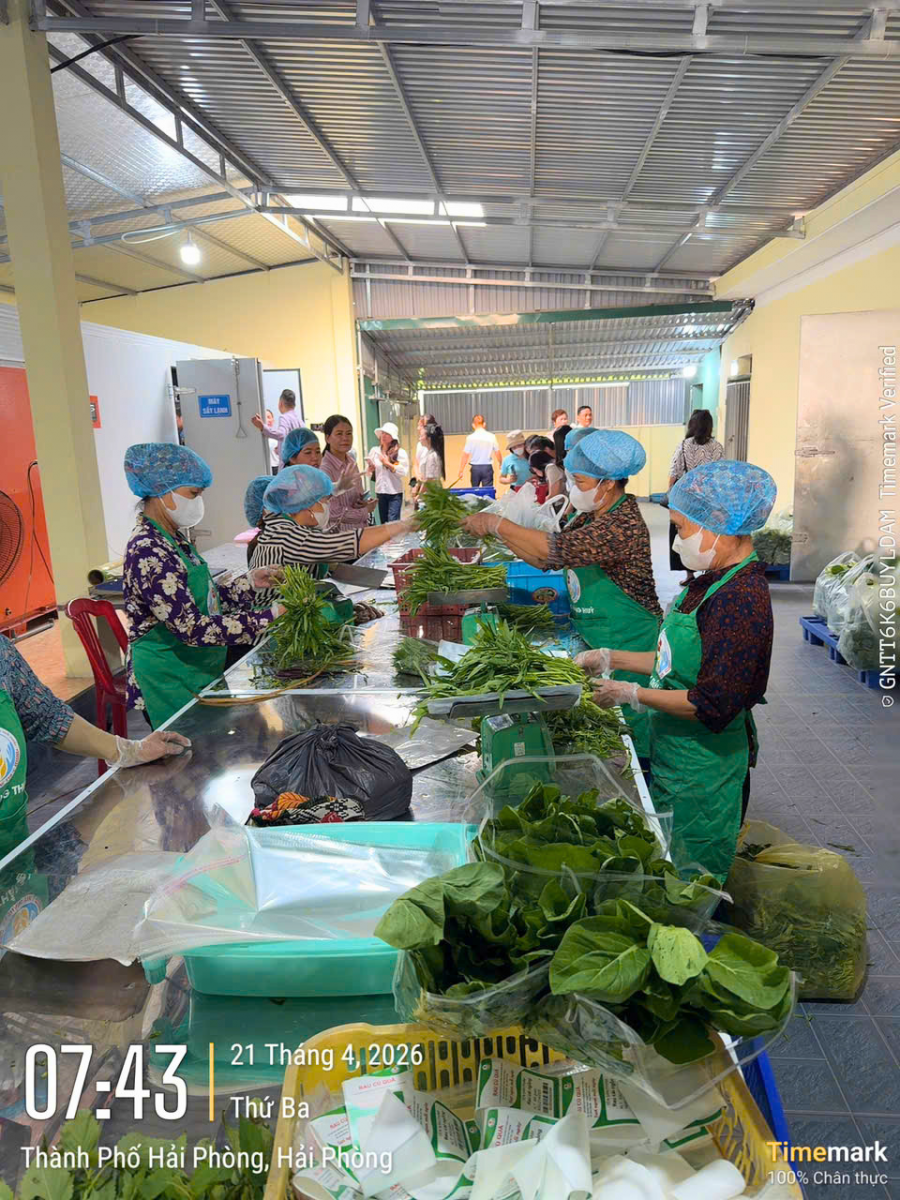 Tham quan vùng nguyên liệu Thực phẩm New Green