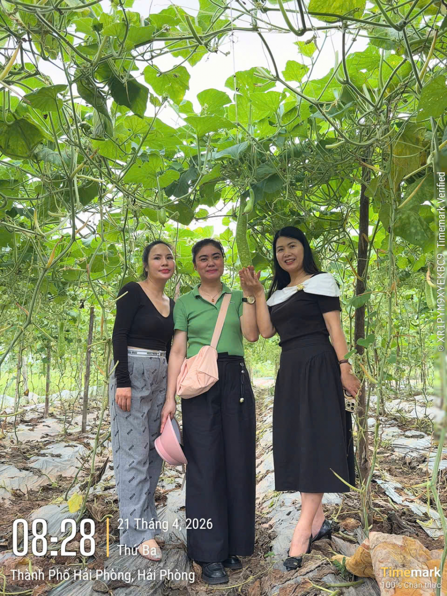 Tham quan vùng nguyên liệu Thực phẩm New Green