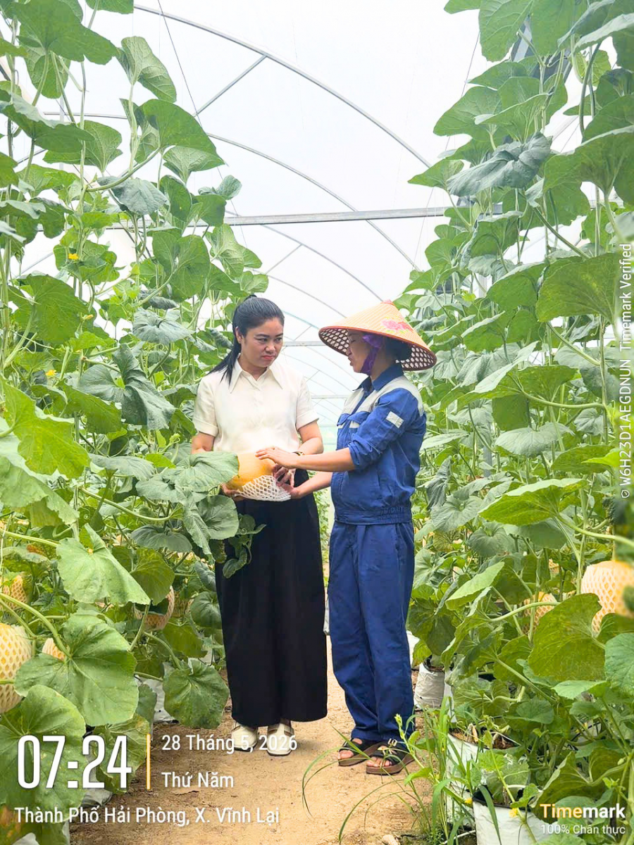 Tham quan vùng nguyên liệu Thực phẩm New Green