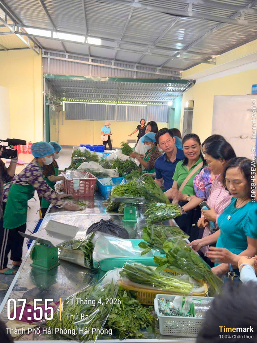 Tham quan vùng nguyên liệu Thực phẩm New Green