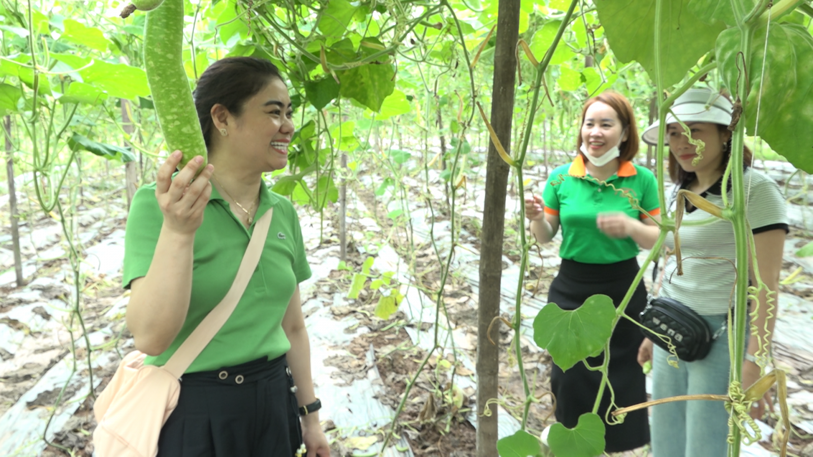 Tham quan vùng nguyên liệu Thực phẩm New Green