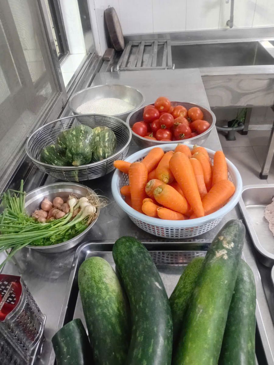 Rau xanh tươi ngon đổi món mỗi ngày