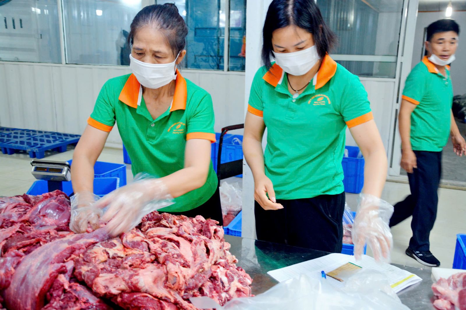 Quy trình chuẩn bị suất ăn sạch bán trú tại nhà xưởng New Green