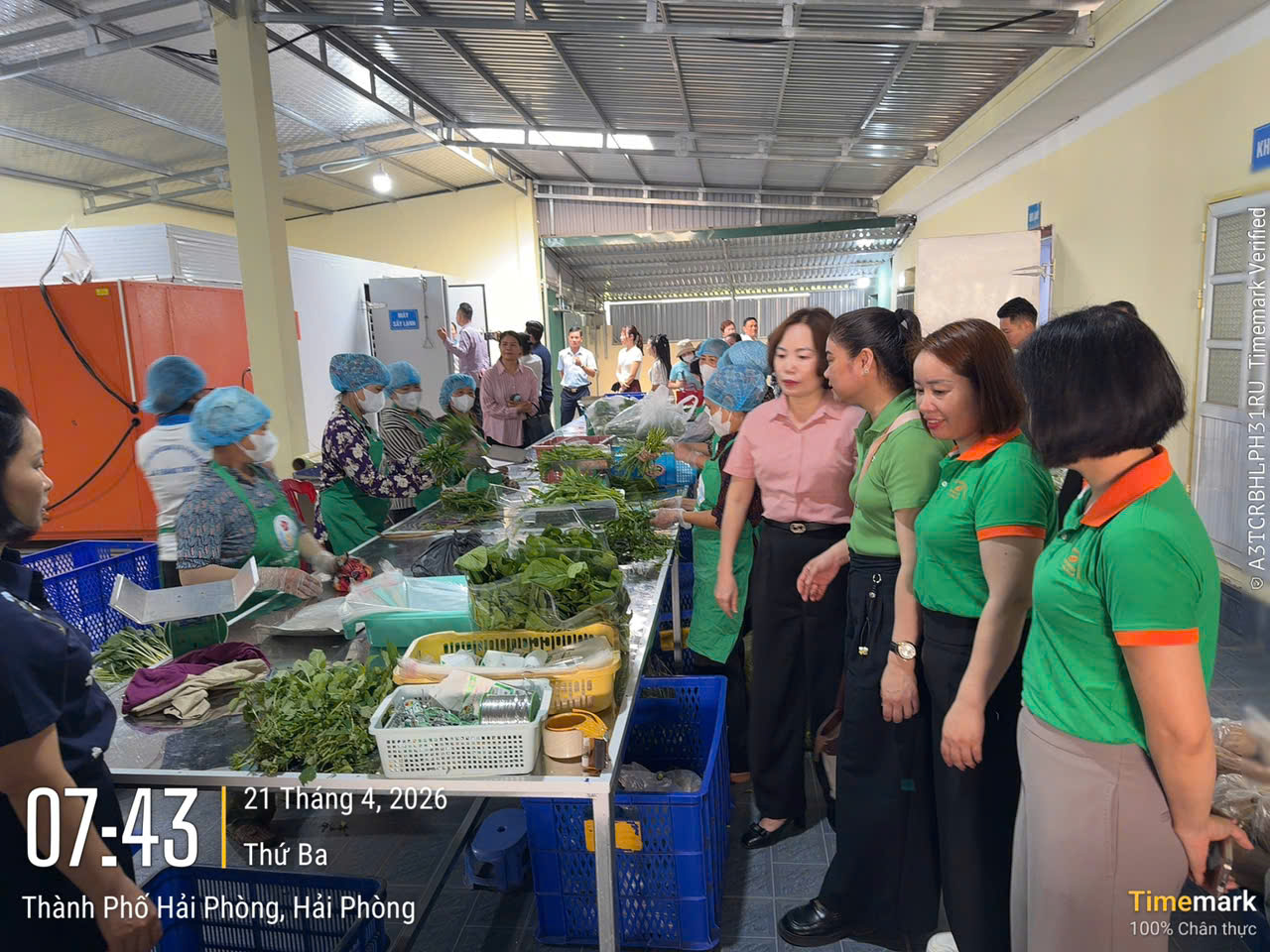 Vệ sinh an toàn thực phẩm New Green 15