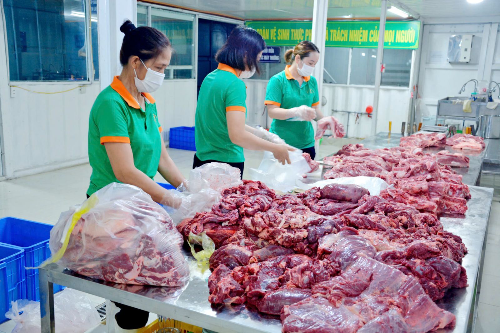 Đội ngũ nhân viên New Green nhặt và sơ chế rau củ quả tươi sạch