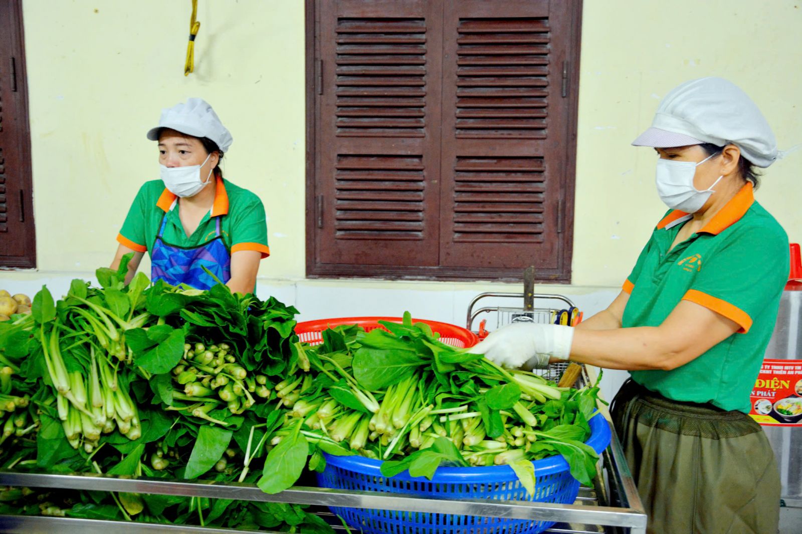 Vệ sinh an toàn thực phẩm New Green 5